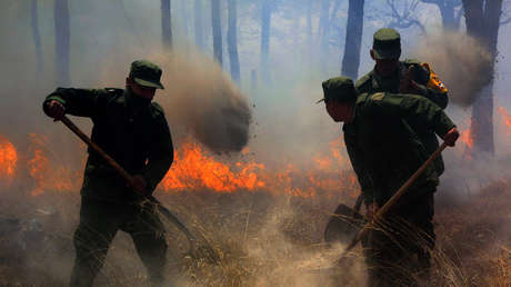 Una joven desata un enorme incendio forestal en México al intentar hacer un video de TikTok