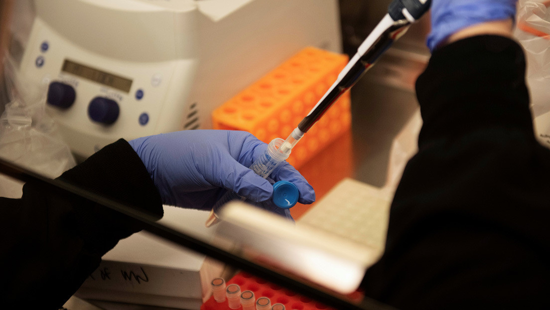 La OMS reanudará sus pruebas con hidroxicloroquina para encontrar una vacuna contra el covid-19