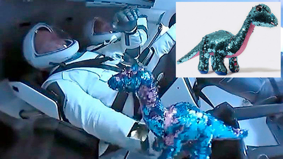 El tercer 'pasajero' de la nave de SpaceX: ¿por qué los astronautas llevaron un dinosaurio de juguete a la EEI?