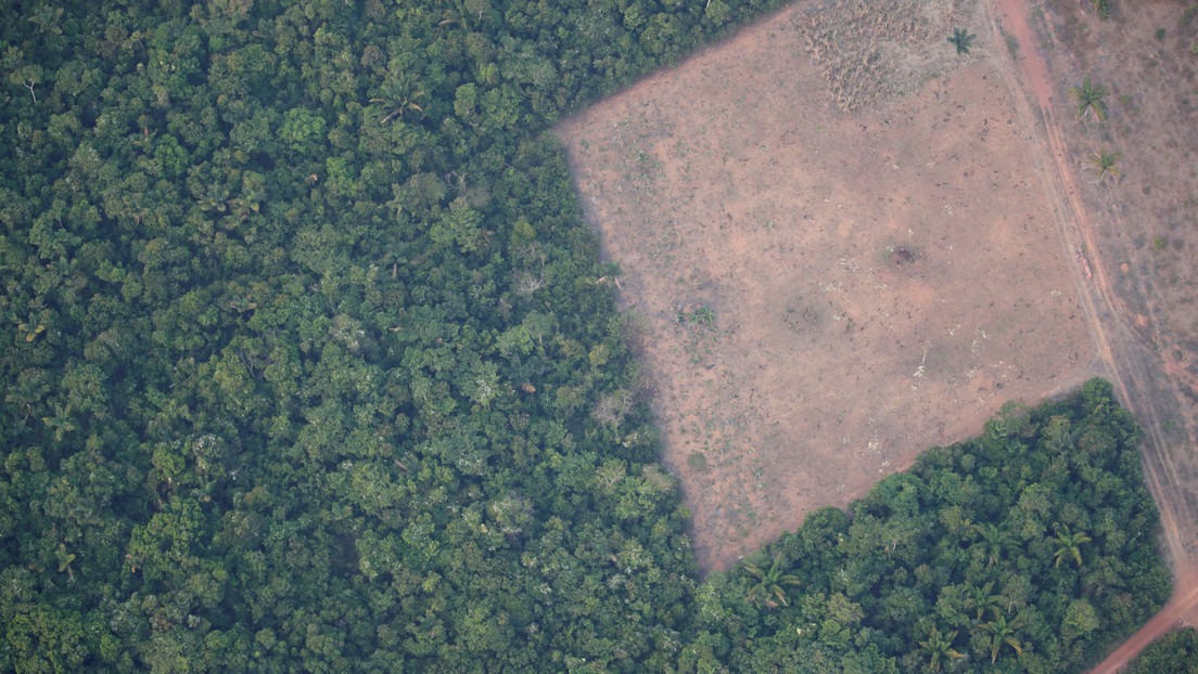 Las alertas por deforestación en la Amazonía registran cifras récord en mayo pese al envío del Ejército a la zona