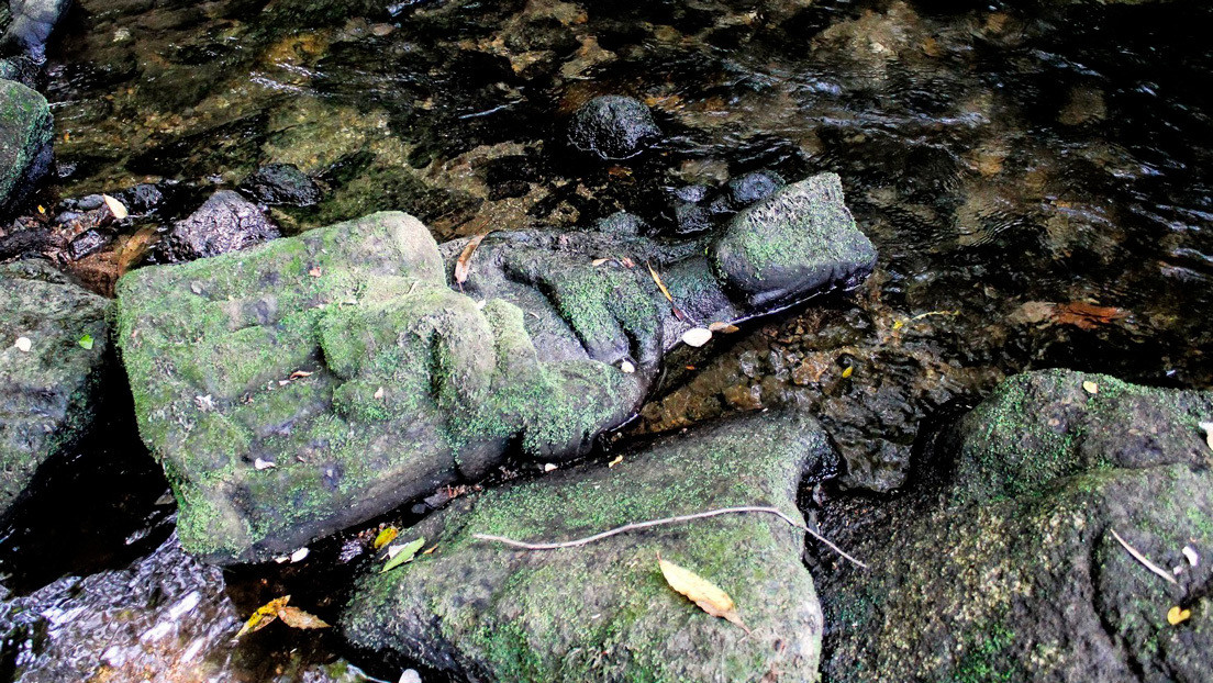 FOTOS: Un pescador encuentra por casualidad una escultura gótica de la Virgen María en un río del norte de España