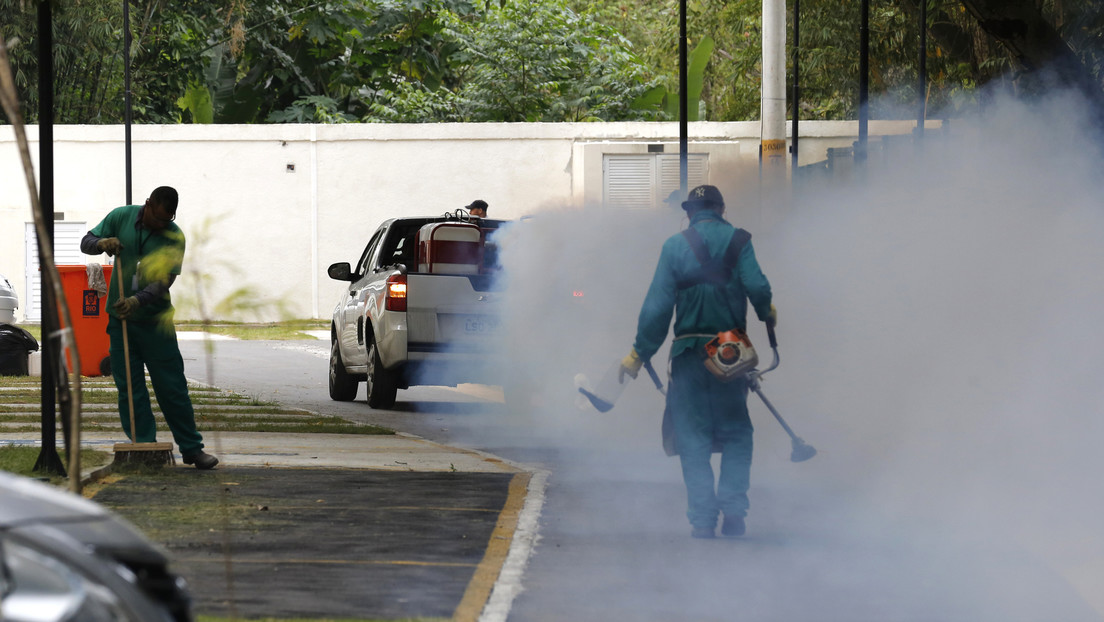 "Riesgo potencial de una nueva epidemia": Científicos identifican una nueva cepa de zika que circula en Brasil