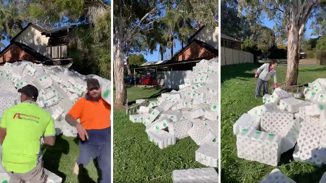 Obreros encuentran una montaña de rollos de papel higiénico en el patio de una casa en Sídney y se lo llevan (VIDEO)