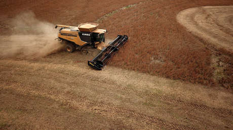 Reportan que China instruye a sus empresas estatales para que dejen de comprar productos agrícolas a EE.UU.