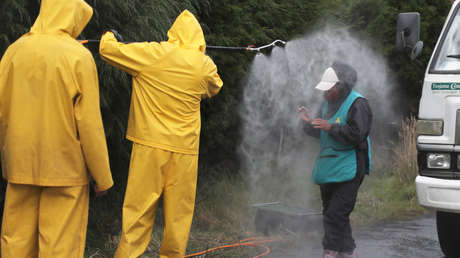 Ecuador confirma 148 muertes asociadas al covid-19 en la última jornada y acumula 6.857 fallecidos