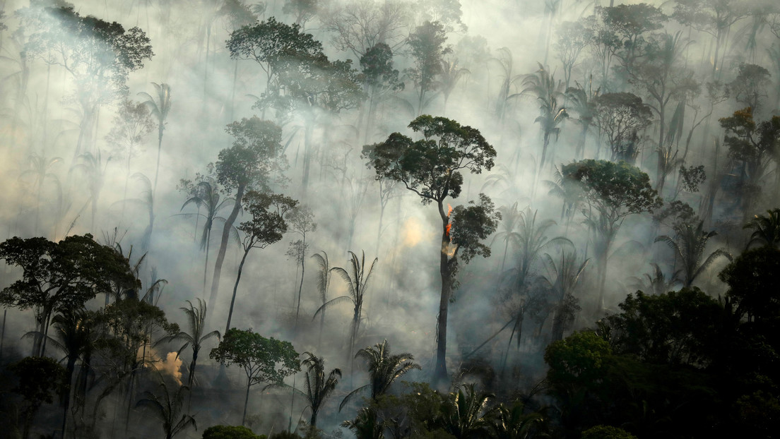 La Amazonía brasileña registra en junio el mayor número de incendios desde 2007
