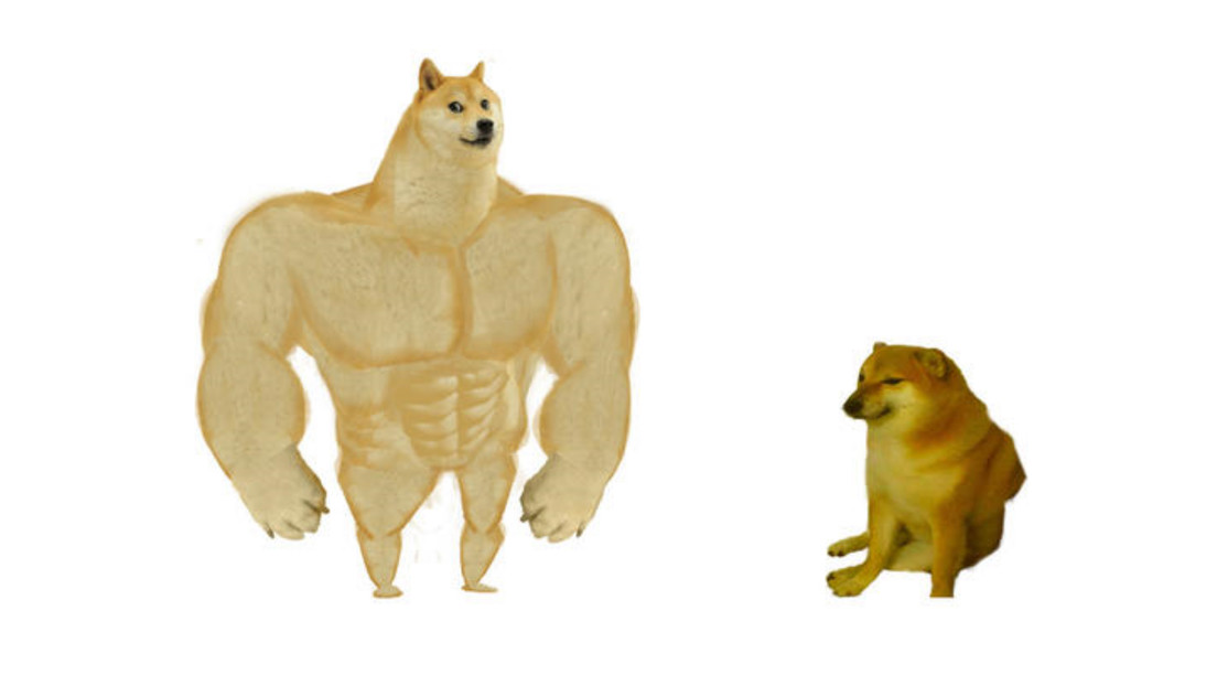 Cómo se originó el meme del perro grande y uno pequeño, que invadió las redes durante el autoaislamiento