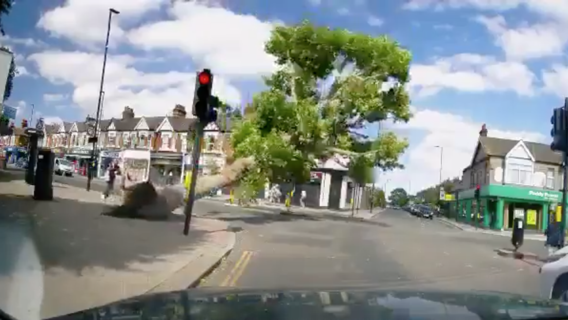 VIDEO: Un árbol casi aplasta a dos personas antes de caer sobre un cruce de carreteras