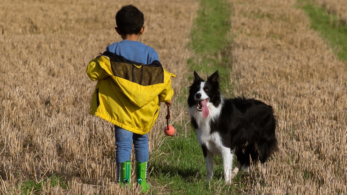 Los niños pueden comportarse mejor y ser más amables si tienen un perro, según un estudio