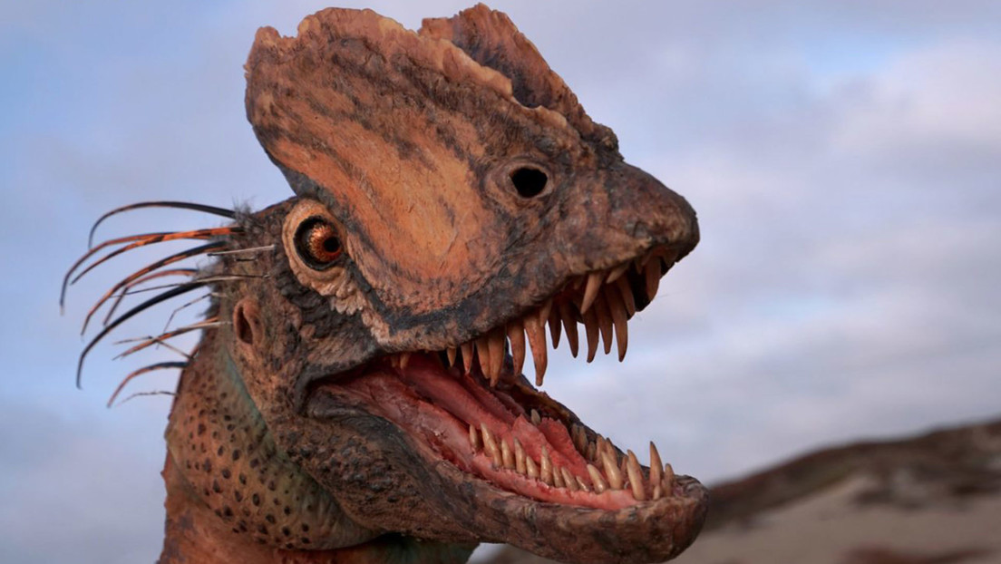 Un estudio demuestra que el dinosaurio que escupía veneno en 'Parque Jurásico' era completamente distinto