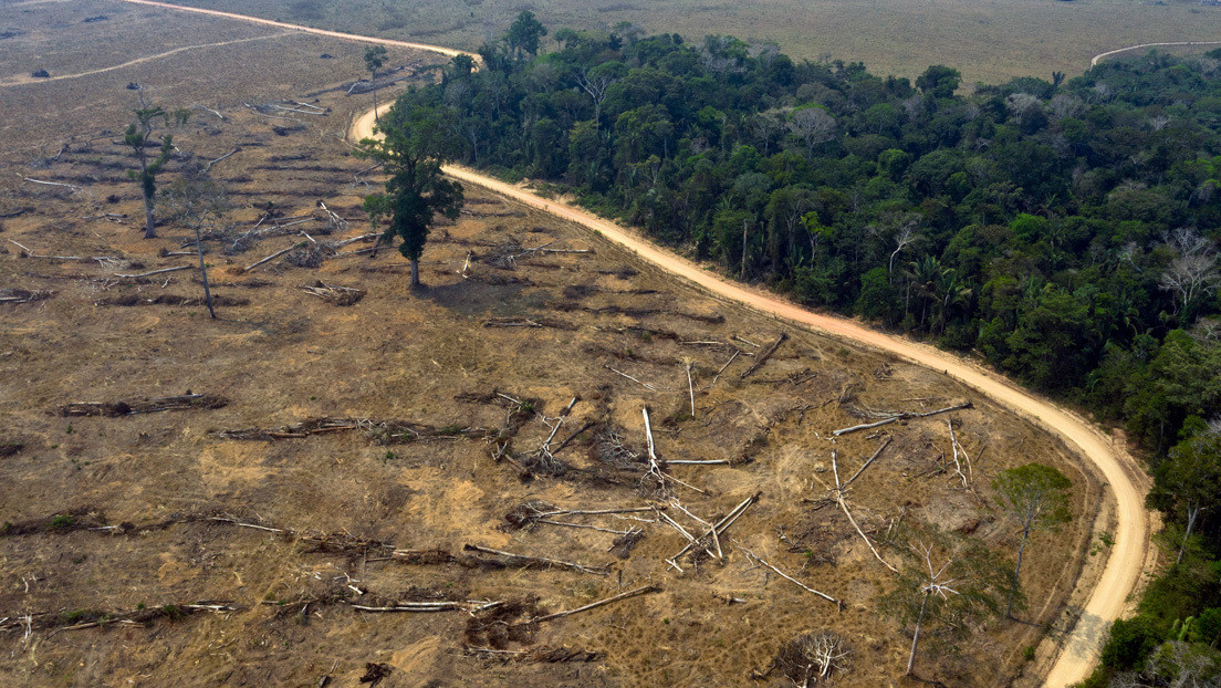 El Gobierno de Brasil destituye a la coordinadora del instituto que supervisa la deforestación en la Amazonía