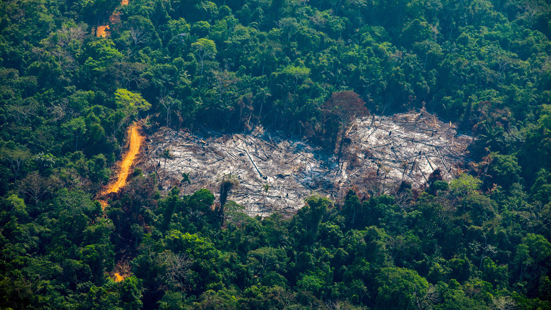El Gobierno brasileño dice que reducirá "a un mínimo aceptable" la deforestación y los incendios en la Amazonía