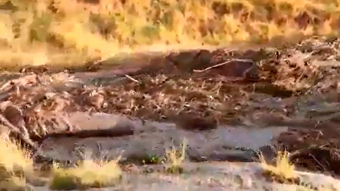 VIDEO: Una 'inundación relámpago' deja una rambla seca completamente anegada en segundos