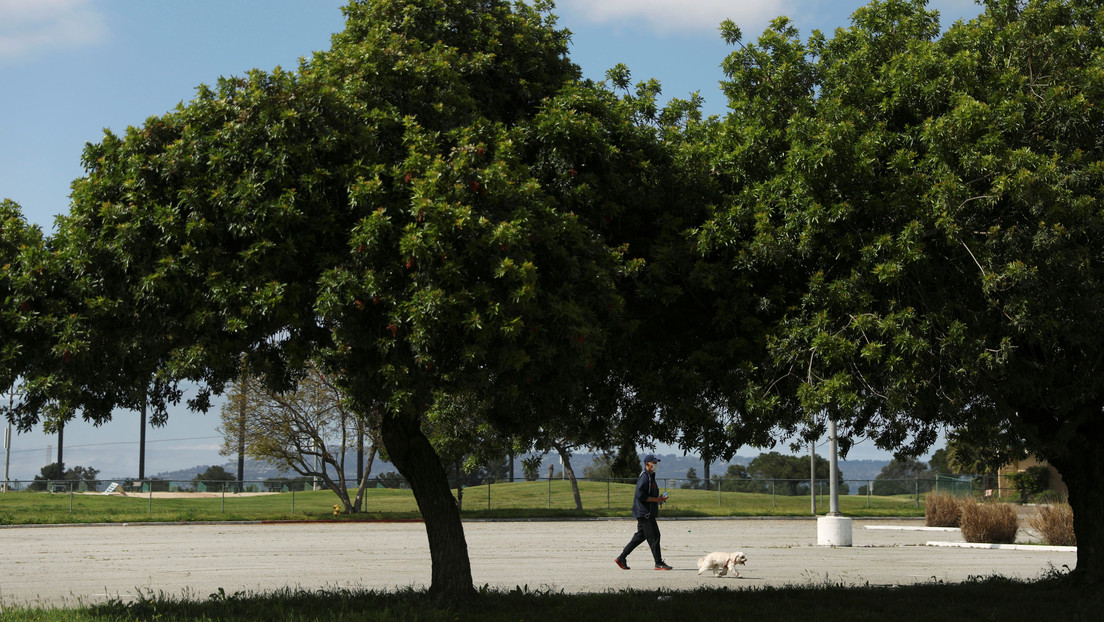 Una amante de los perros ataca a una pareja en un parque de EE.UU. por no llevar mascarillas (VIDEO)