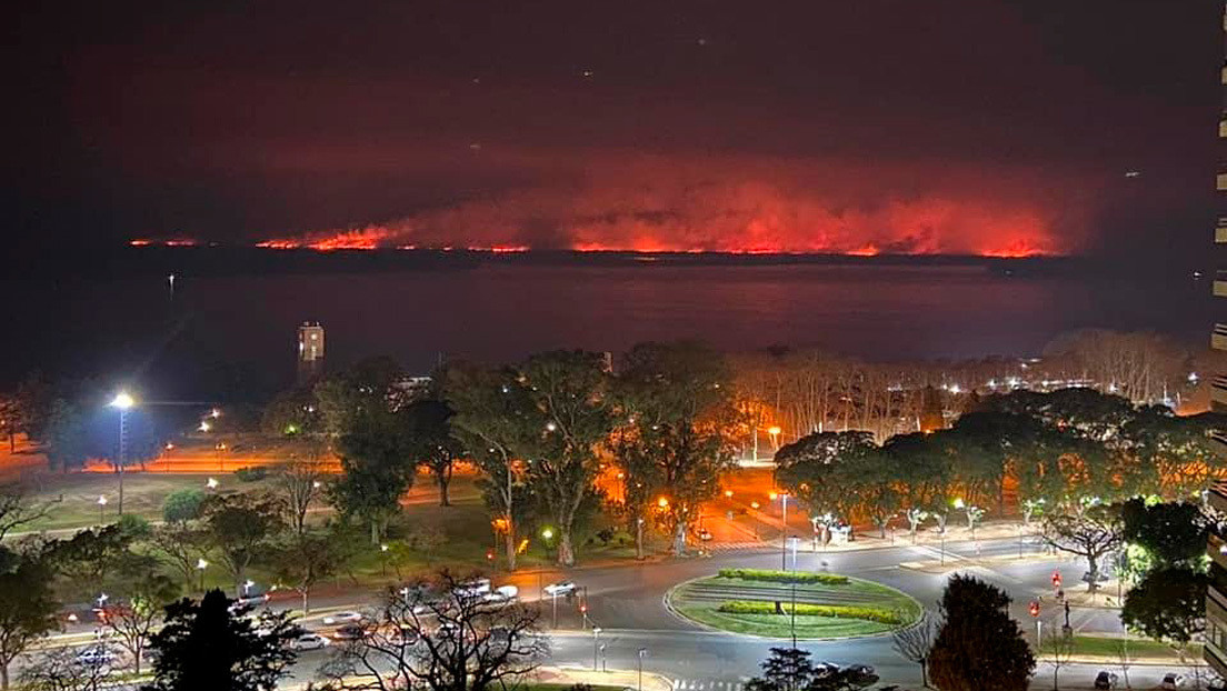 Queman humedales en Argentina y la ciudad de Rosario se cubre de humo (FOTOS, VIDEOS)