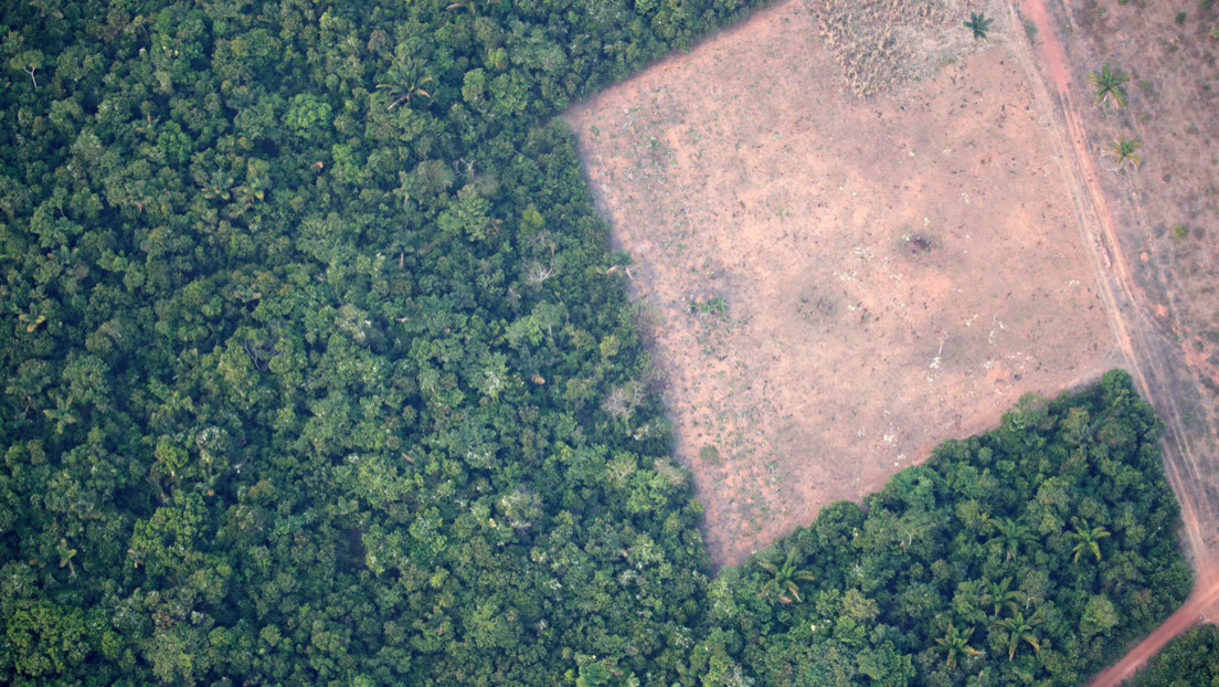 Políticos y empresarios brasileños son investigados por crimen ambiental en las tierras públicas de la Amazonía