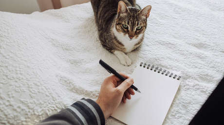 Un gato que lleva una 'doble vida' regresa a su casa con una espantosa nota en el collar