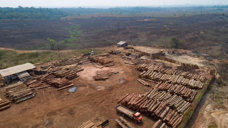 Exministros brasileños piden que la recuperación económica tras la pandemia vaya en línea con la política ambiental