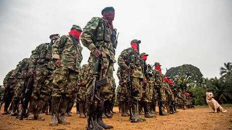 HRW: Grupos ilegales armados en Colombia imponen con terror "sus propias medidas" contra el coronavirus