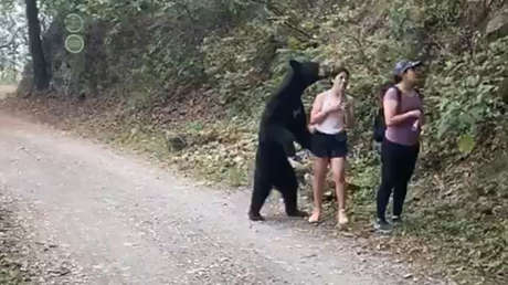 VIDEOS: Un oso negro 'abraza' a una mexicana, pero esta mantiene la calma y hasta logra tomarse un selfi