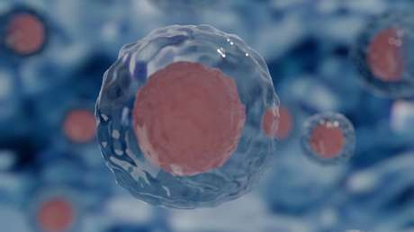 Investigadores sugieren que los bacilos más peligrosos para la humanidad no se encuentran en la Tierra