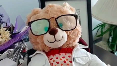 El actor Ryan Reynolds ofrece 5.000 dólares de recompensa por un oso de peluche robado por esta conmovedora razón