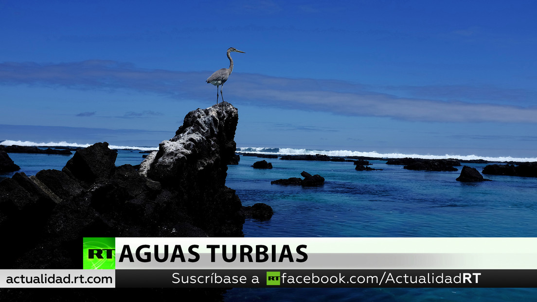Ecuador protesta por la presencia de pesqueros chinos cerca de las Galápagos