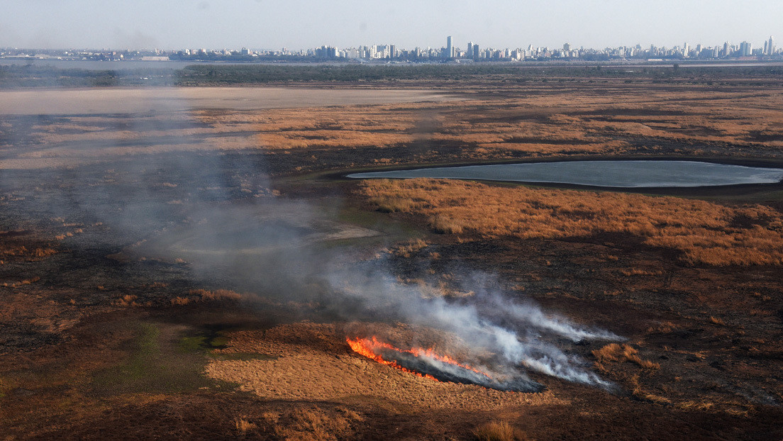 Detienen en Argentina a dos hombres acusados de provocar los incendios de humedales en el río Paraná