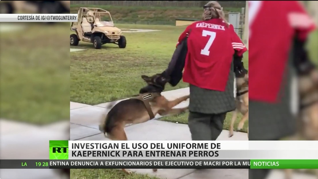 Investigan el uso del uniforme de Colin Kaepernick para entrenar perros militares