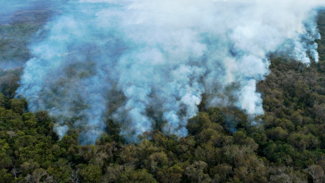 El Pantanal, santuario de biodiversidad, sufre los incendios más graves de los últimos 20 años