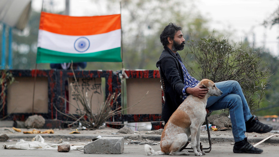 "Realmente divertido": comediante indio canta al unísono con su perro (VIDEO)