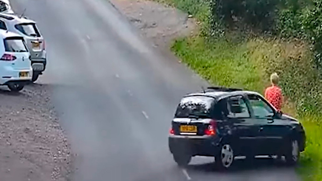 VIDEO: Atropellan a una mujer que pasea con su perro al costado de una ruta y huyen de la escena