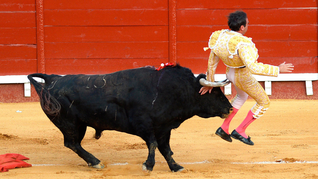 El torero español Enrique Ponce sufre una nueva cornada en los muslos cuando se disponía a matar al toro