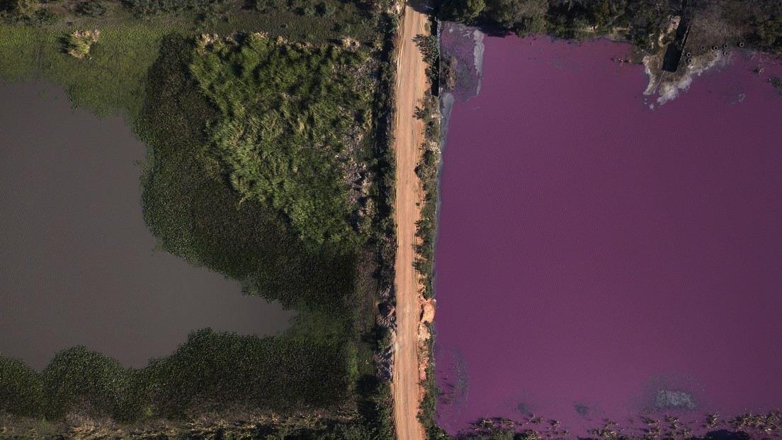 La mitad de una popular laguna paraguaya se tiñe de rojo por la contaminación y mueren miles de peces y aves (FOTOS)