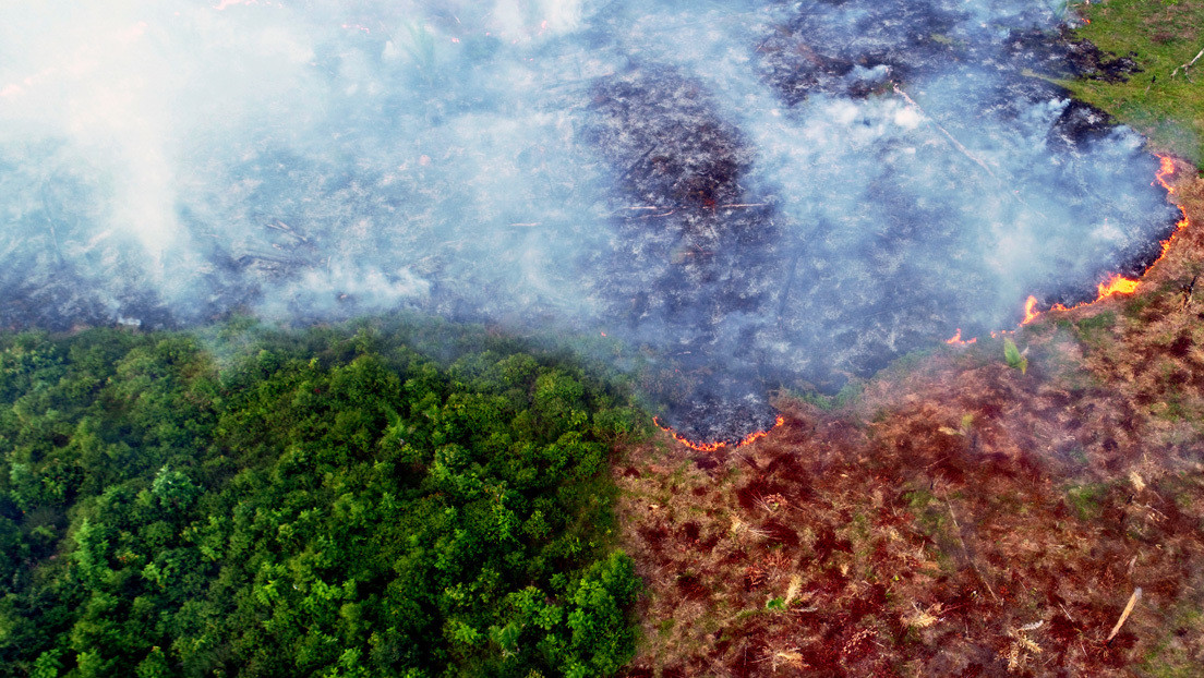 Las cuentas del Ejército brasileño para controlar los incendios pasan por auditoría mientras que el número de fuegos en la Amazonía bate un récord