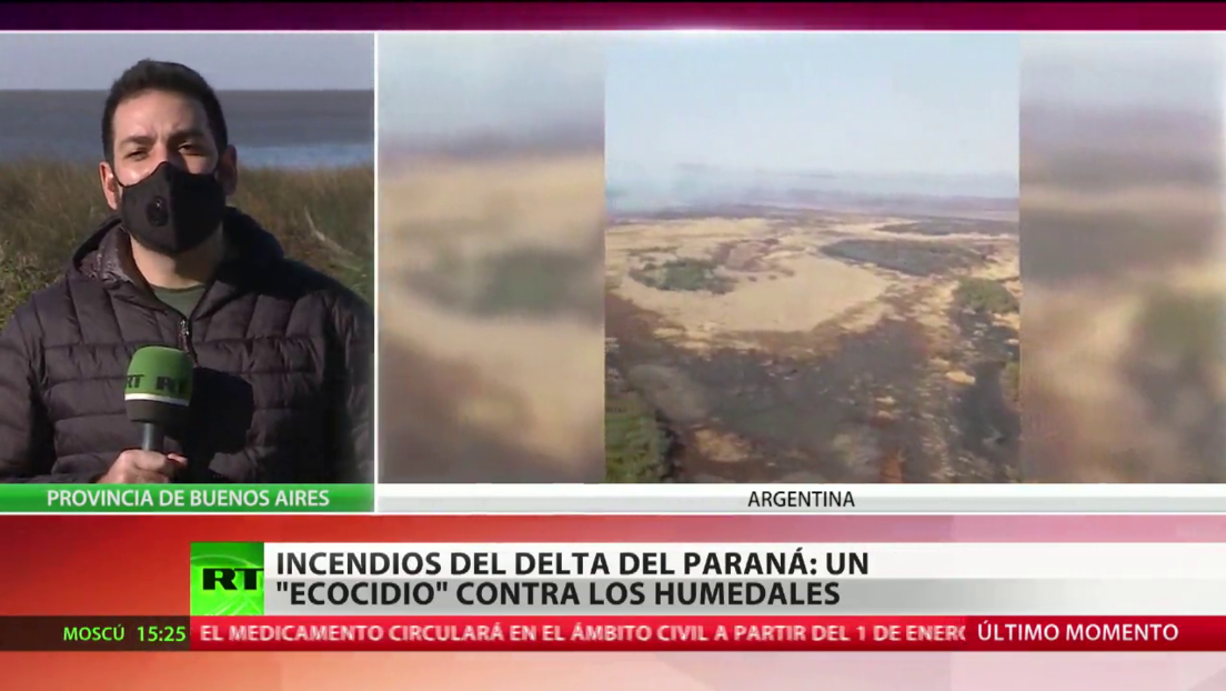 Incendios en el delta del Paraná: los expertos dan la voz de alarma ante la tragedia ambiental en Argentina
