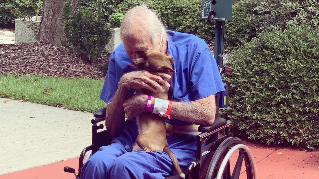 FOTOS: Un anciano de 86 años sufre un derrame cerebral y se salva gracias a su fiel chihuahua