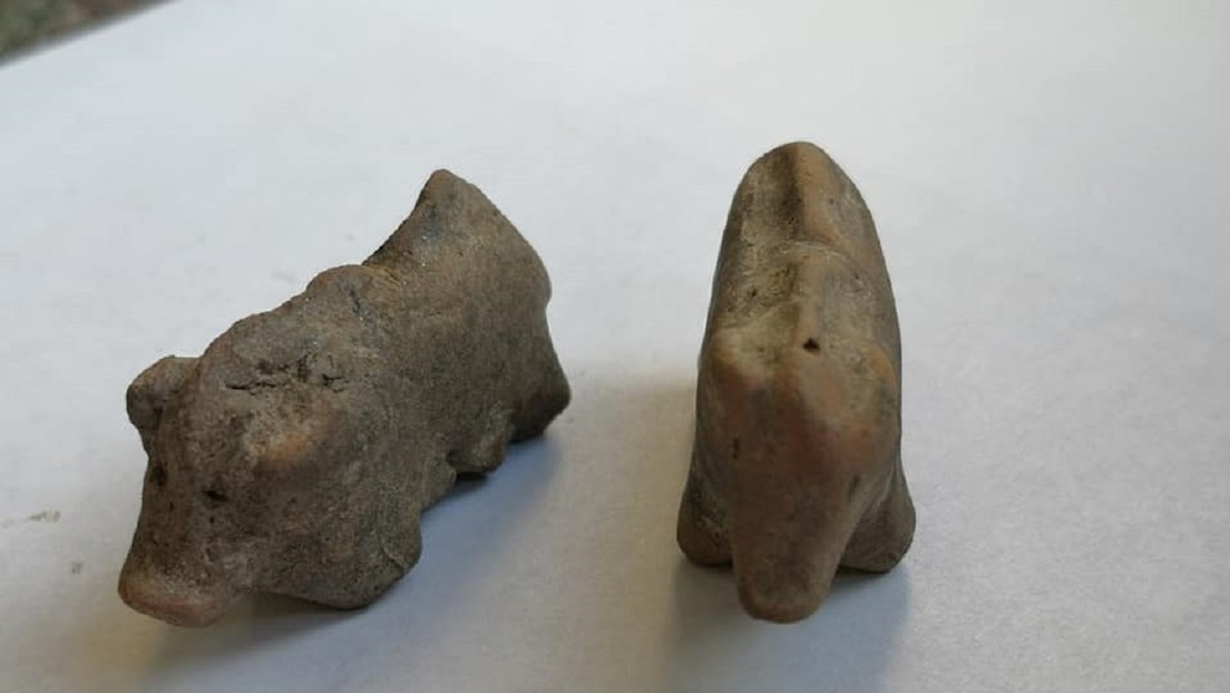 Encuentran dos figurillas de arcilla con forma de cerdo de más de 3.500 años de antigüedad en Polonia