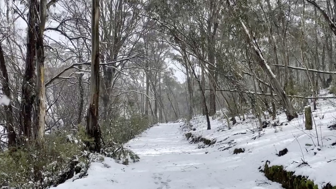 Una rara nevada cubre el sureste de Australia por efecto del aire antártico