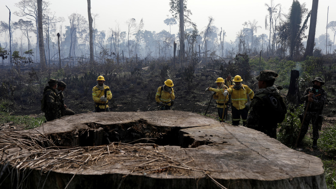 Brasil suspende el combate contra la deforestación de la Amazonía por falta de presupuesto