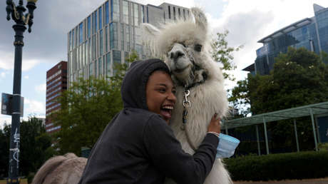 La llama "sin drama" lleva su toque zen a las protestas en Portland