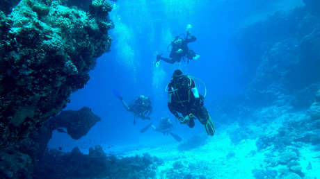 Un tiburón considerado "perdido" por la ciencia es redescubierto 120 años después