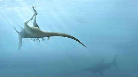 Descubren una nueva especie de dinosaurio de hace 115 millones de años relacionada con el Tiranosaurio Rex y las aves modernas