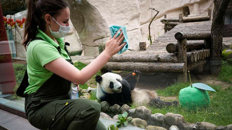 Rusia registra la cifra más baja de muertes por coronavirus desde primeros de mayo