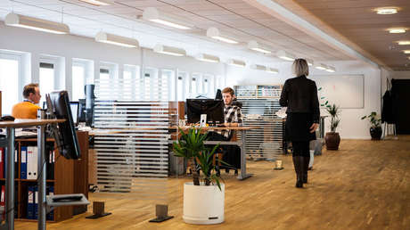 VIDEO: Un oso negro irrumpe en una oficina en México y olfatea a un empleado