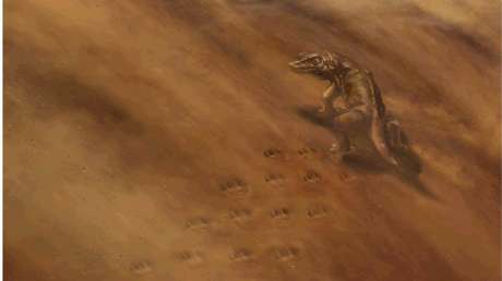 Descubren huellas de animales de hace 313 millones de años, tras el colapso de un acantilado del Gran Cañón (FOTOS)