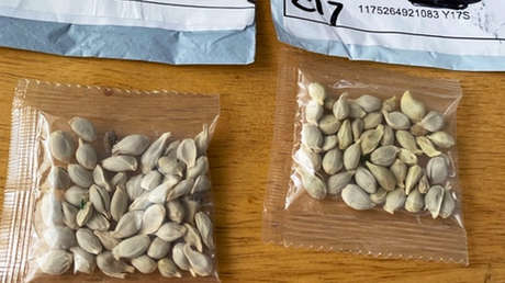 'Siembra vía postal': Vuelven a llegar a Occidente extraños paquetes con semillas chinas que nadie ha encargado