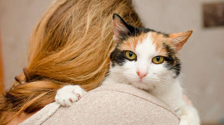 Científicos descubren que un medicamento para gatos puede combatir el coronavirus en humanos y explican por qué "no es sorprendente"