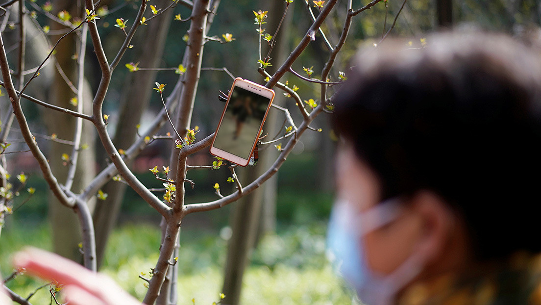 Repartidores de Amazon cuelgan sus celulares en los árboles para obtener más pedidos