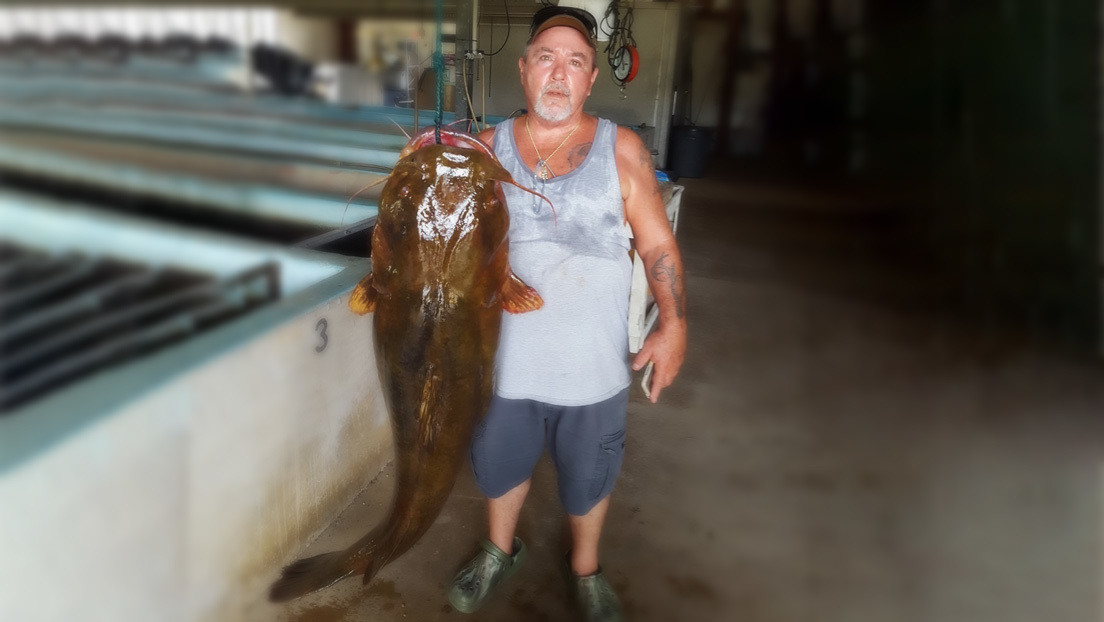FOTO: Bate un récord al pescar un bagre de 31,7 kilogramos en un río de Florida